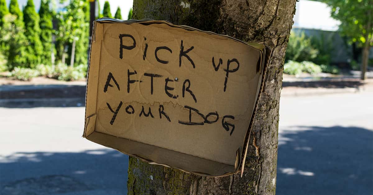 "My Neighbor Is A Monster": Satisfying Revenge Stories