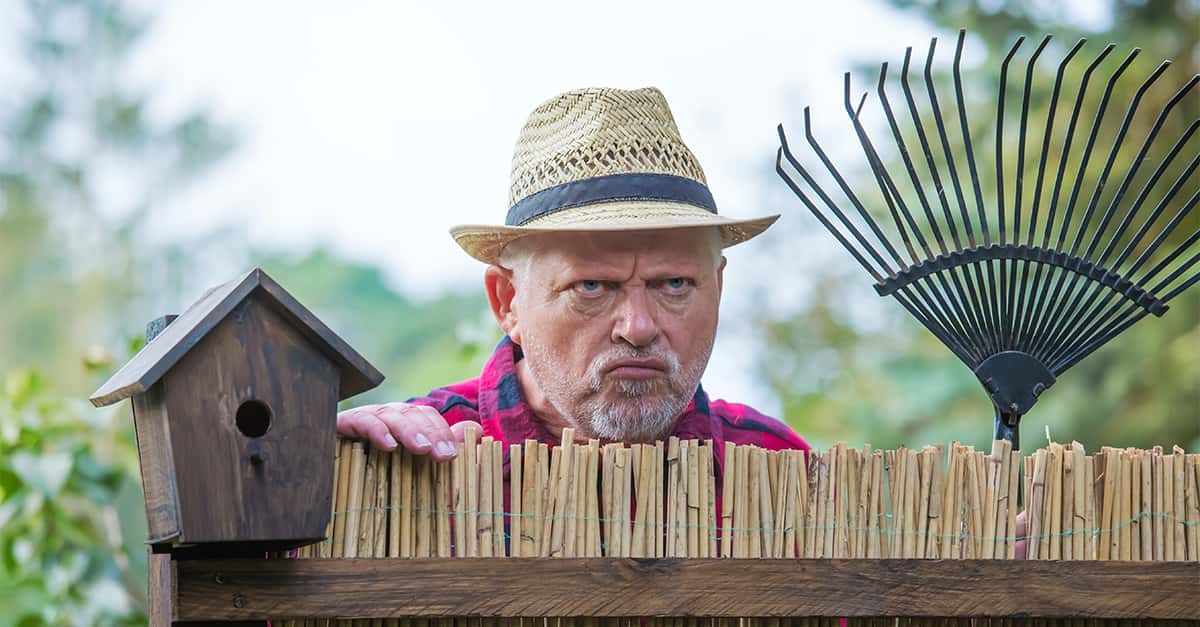 These Bizarre Neighbors Are A Nightmare