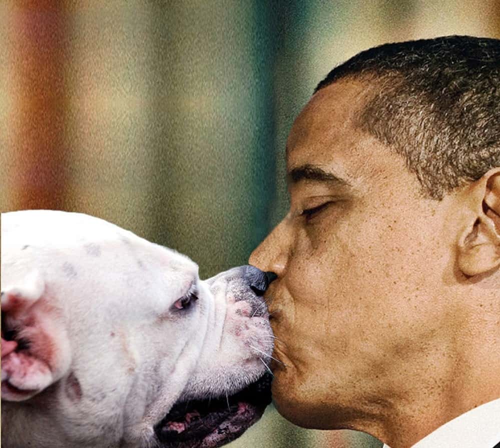 barack-obama-kissing-a-dog-92514-1526529154689.jpg