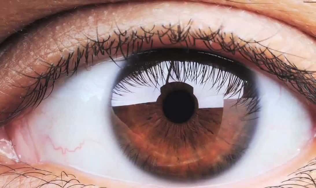 eye-1528855457199.jpg
