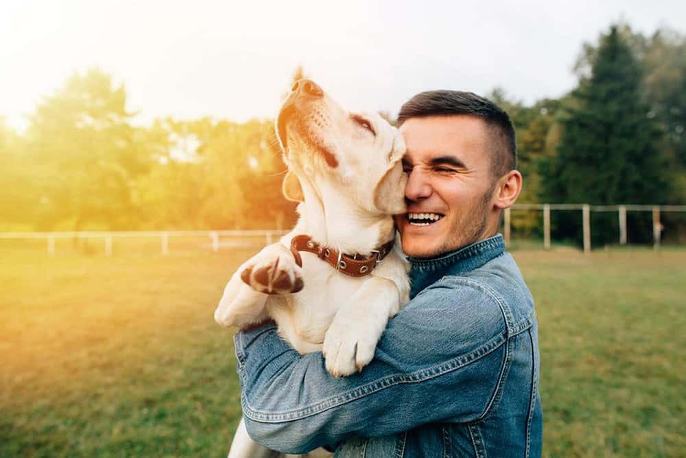 mandog-1527803921039.jpg