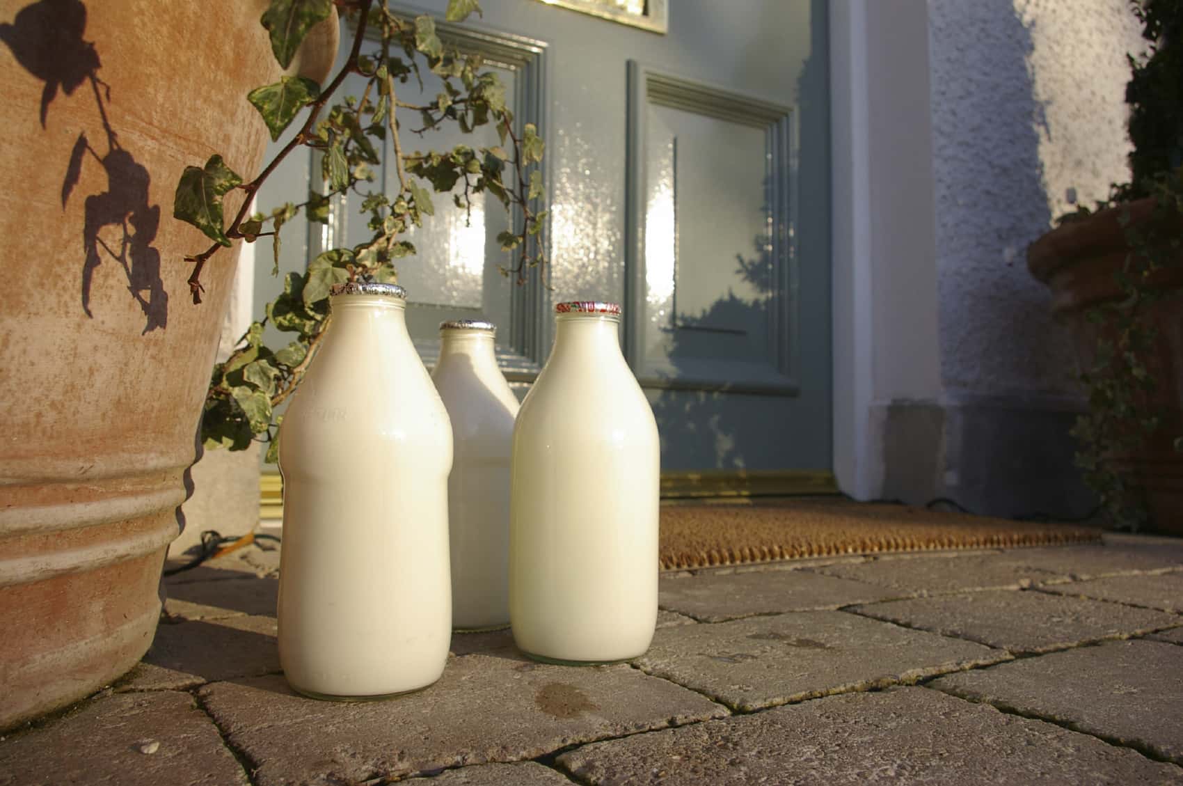 milk-by-planter-1528150410397.jpg