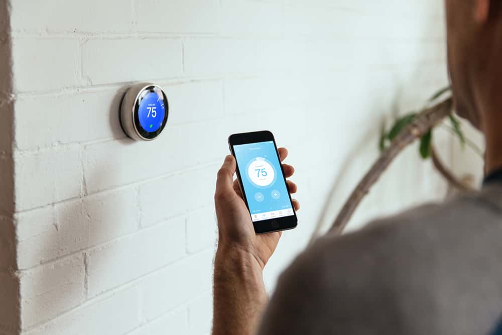 nest-1527808127078.jpg