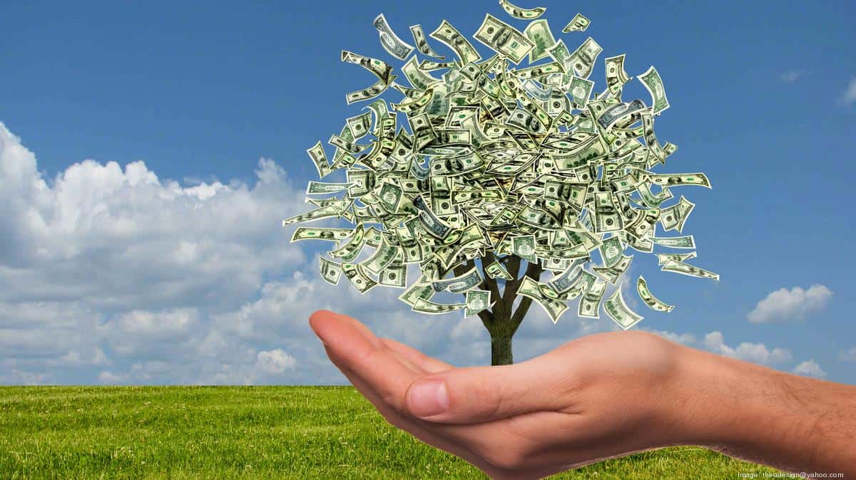 thinkstock-moneytree-money-tree_1200xx2898-1628-0-507-1526451026937.jpg