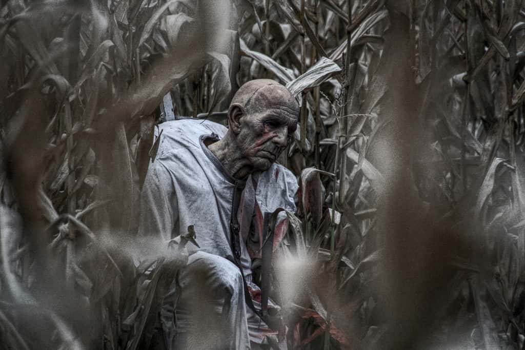 zombie-1527864967251.jpg
