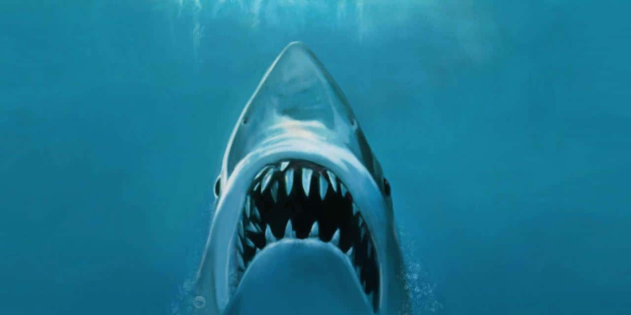 jaws-1541807696554.jpg
