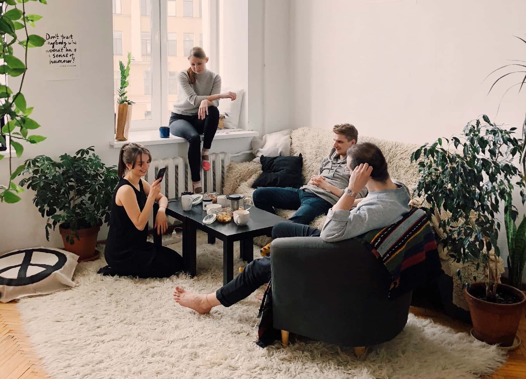 adult-apartment-carpet-1054974-1549399653766.jpg