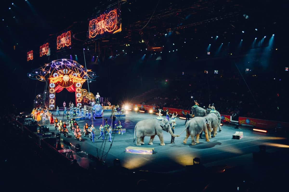 circus_arena_ring_manege_fun_show_entertainment_elephants-712485-1545202259667.jpg