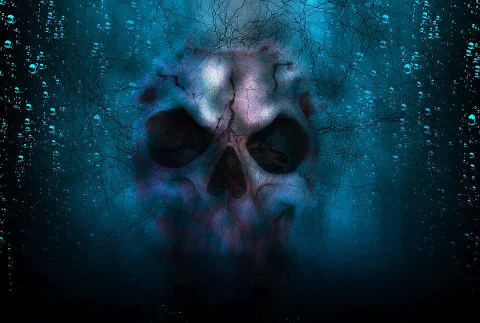 skull-2580981_960_720-1543896444236.jpg