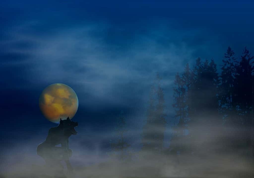 werewolf-fantasy-abstract-nature-landscapes-cea8a7-1024-1543894677171.jpg