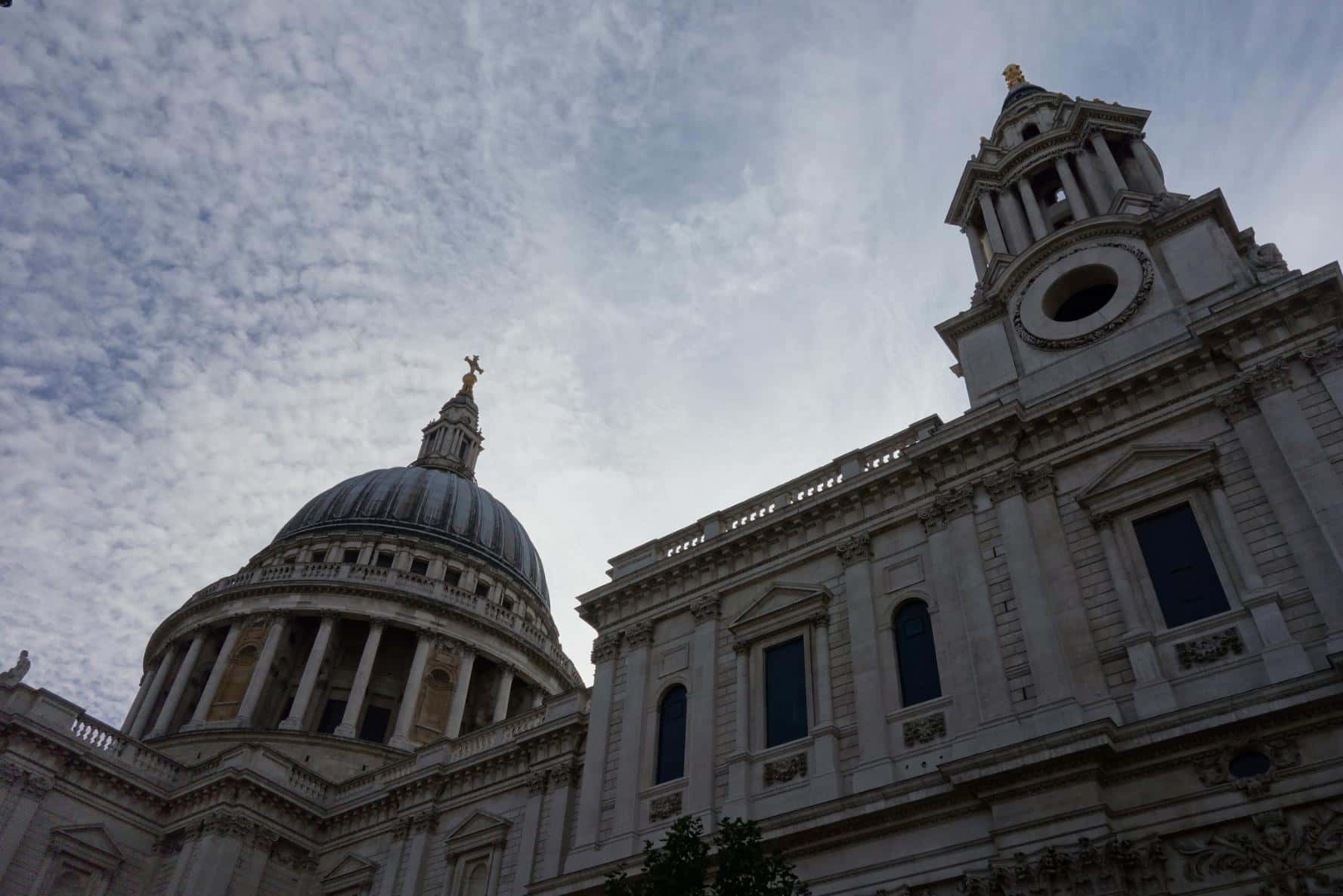 20096-1549751064446.jpg