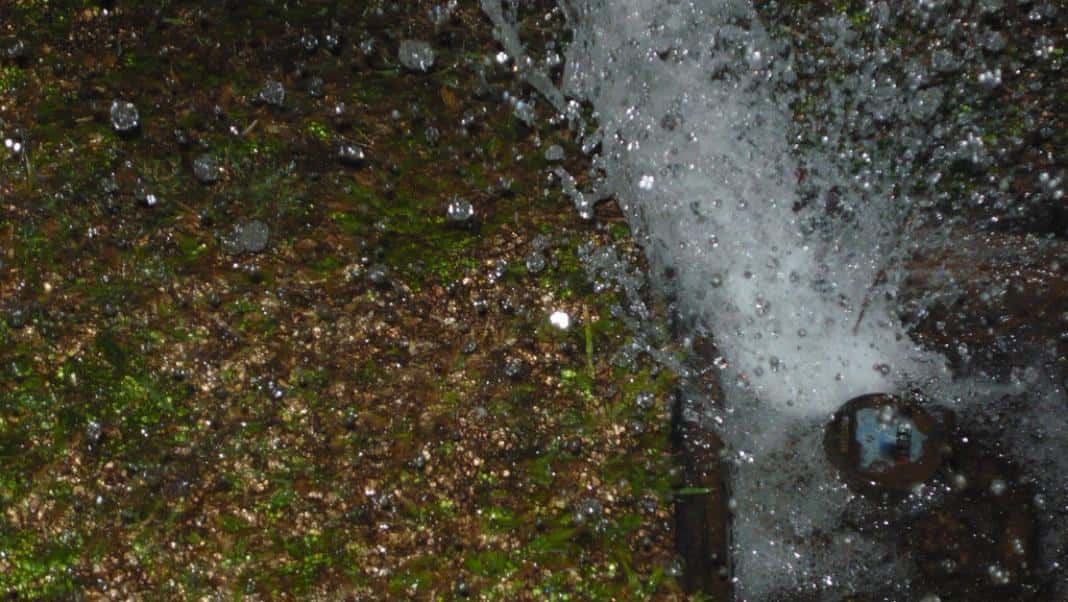 20103-1549752707508.jpg