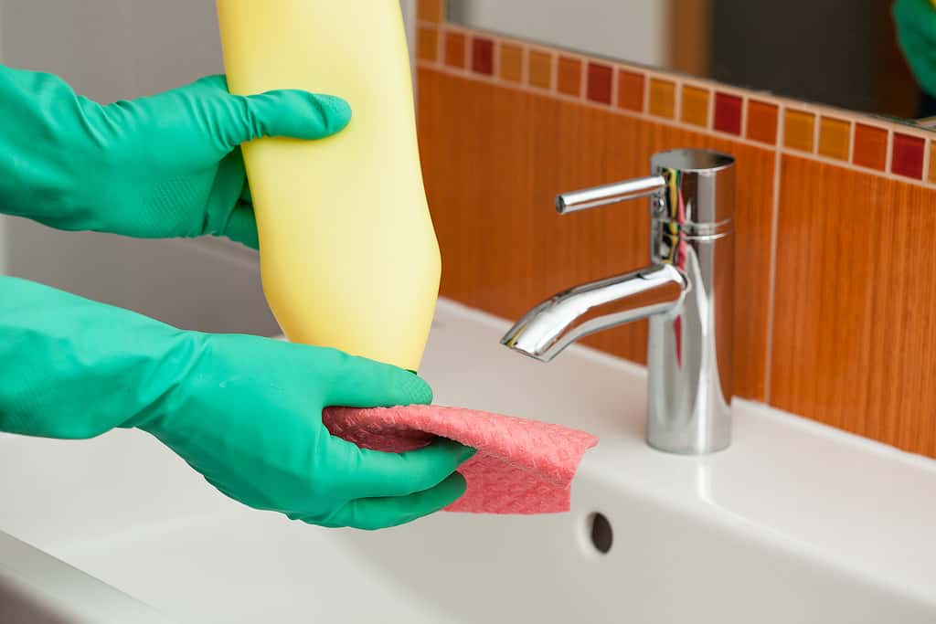 cleaning-1542394611430.jpg