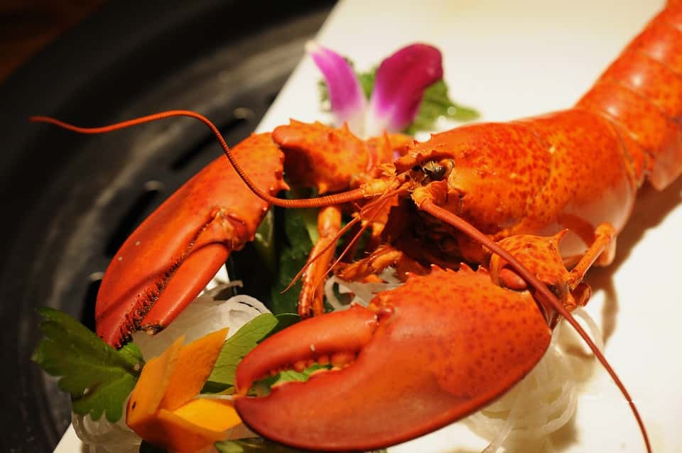 lobster-2495967_960_720-1542395632965.jpg