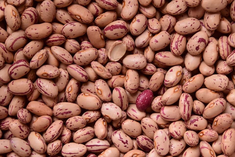beans-1756589_960_720-1561459345831.jpg