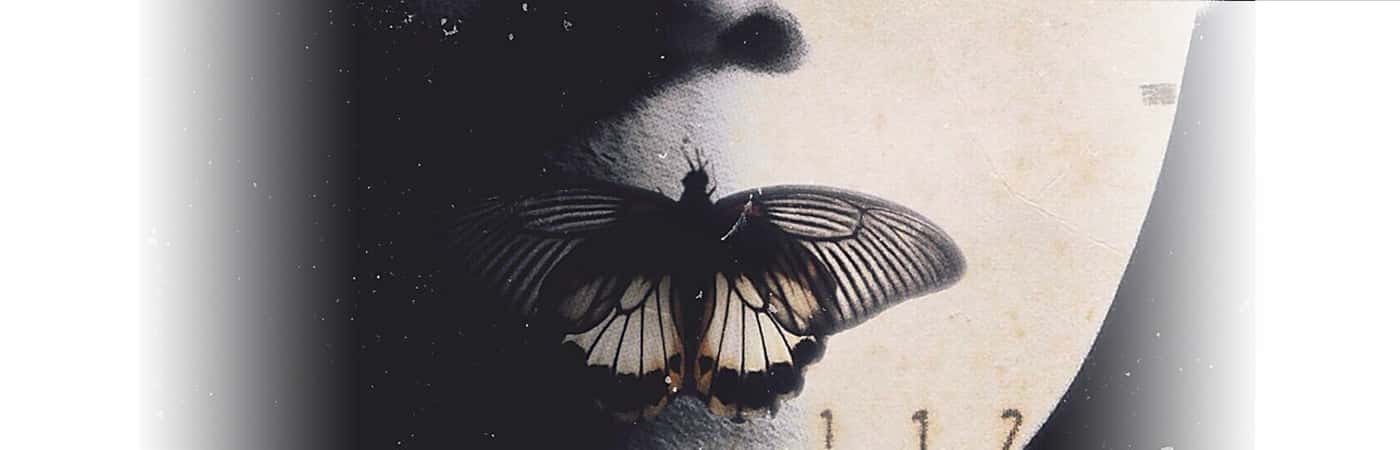 Distressed People Share Their Confusing 'Butterfly Effect' Stories