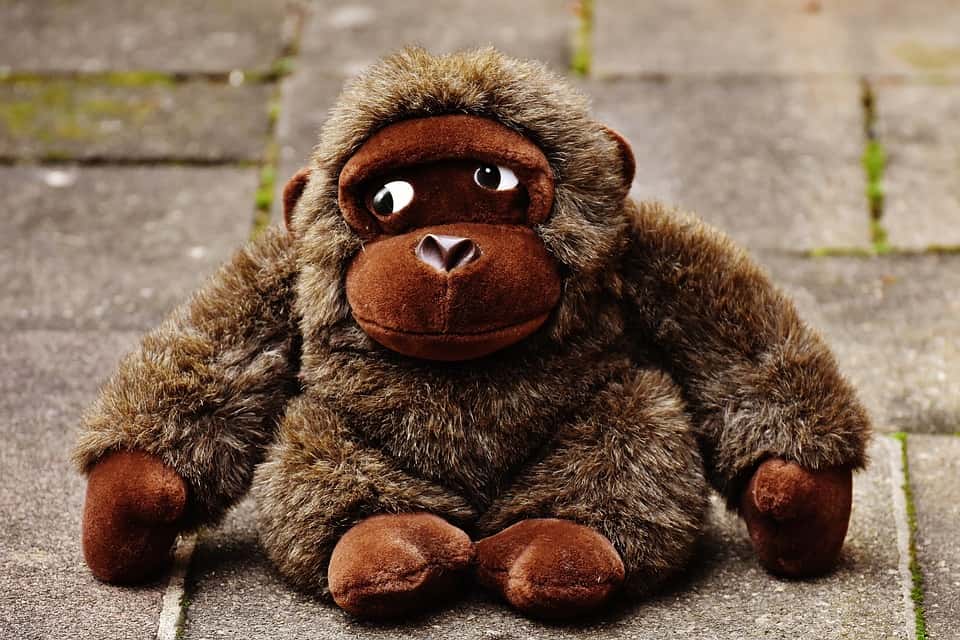monkey-1821692_960_720-1561458282771.jpg