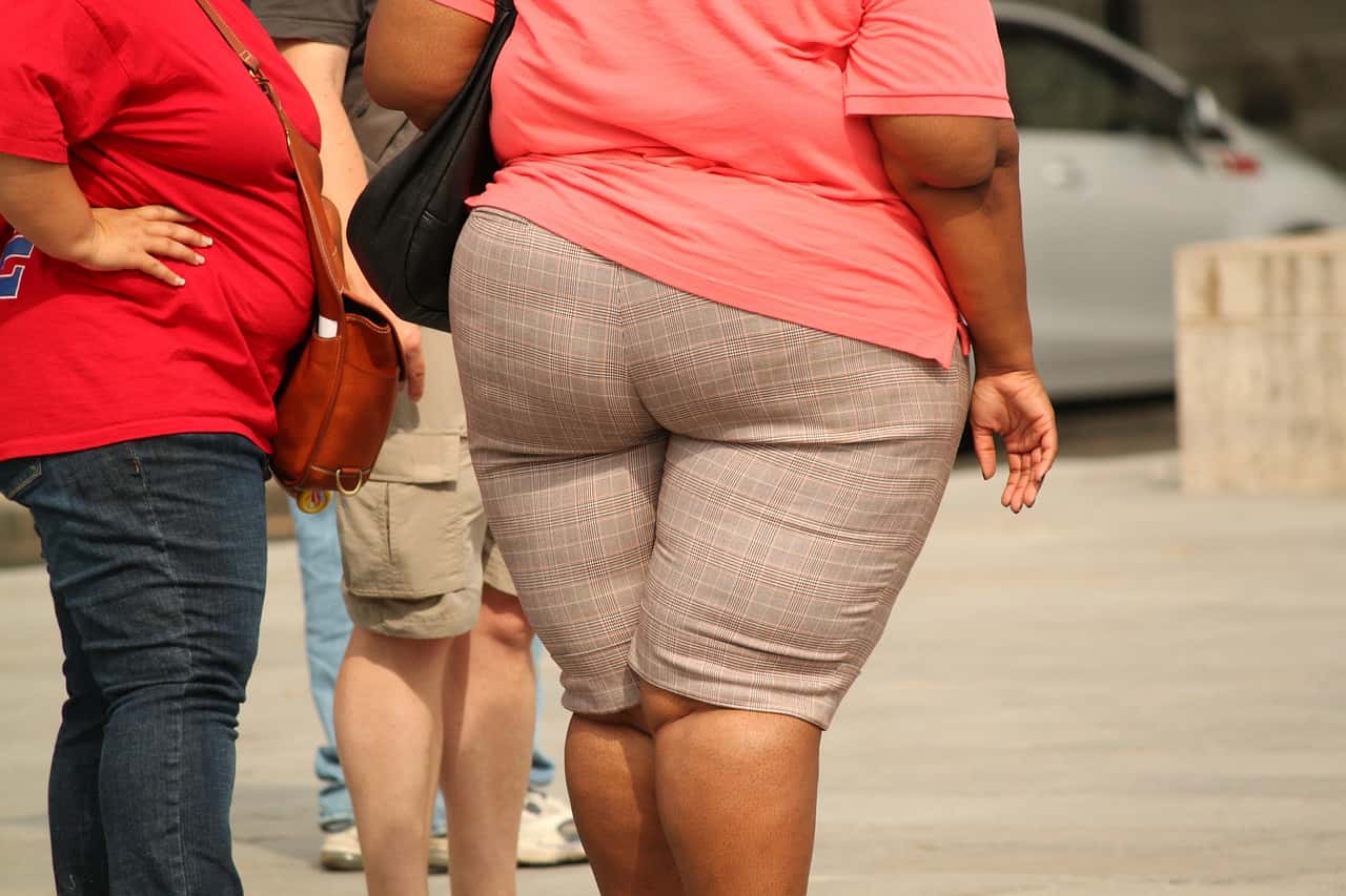 thick-373064_1280-1561136319657.jpg