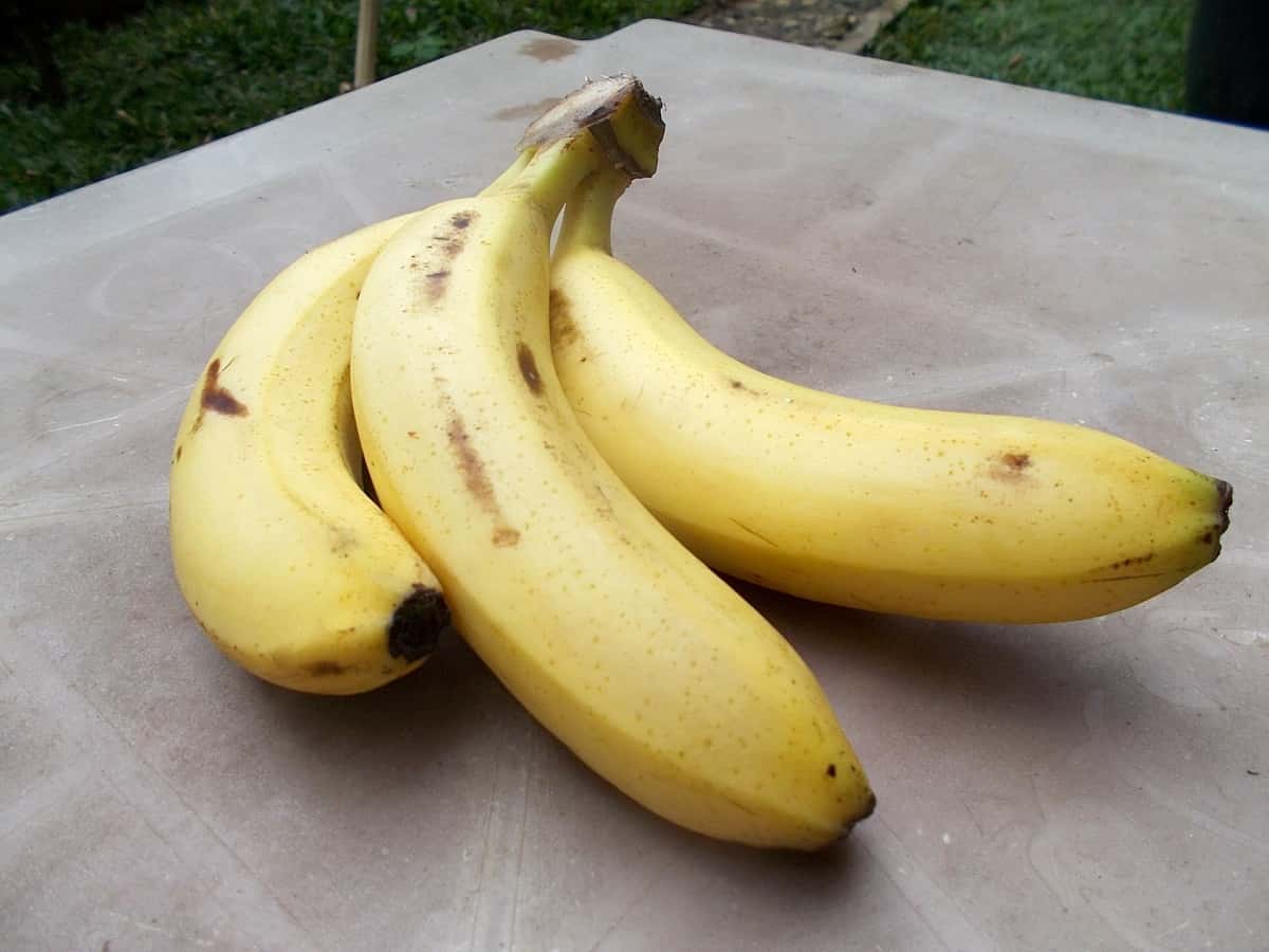 banana-fruits-2-1563549839014.jpg