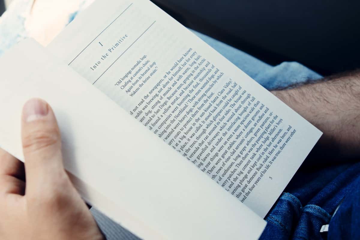 book_education_knowledge_literature_novel_read_reading-1066439-1556767839768.jpg