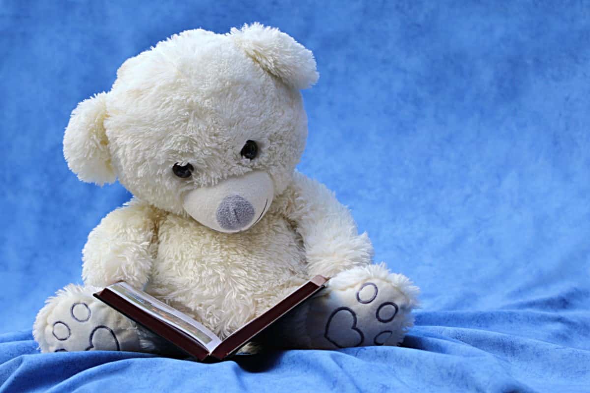 still_life_teddy_white_read_book_background_blue-844147-1556880336579.jpg