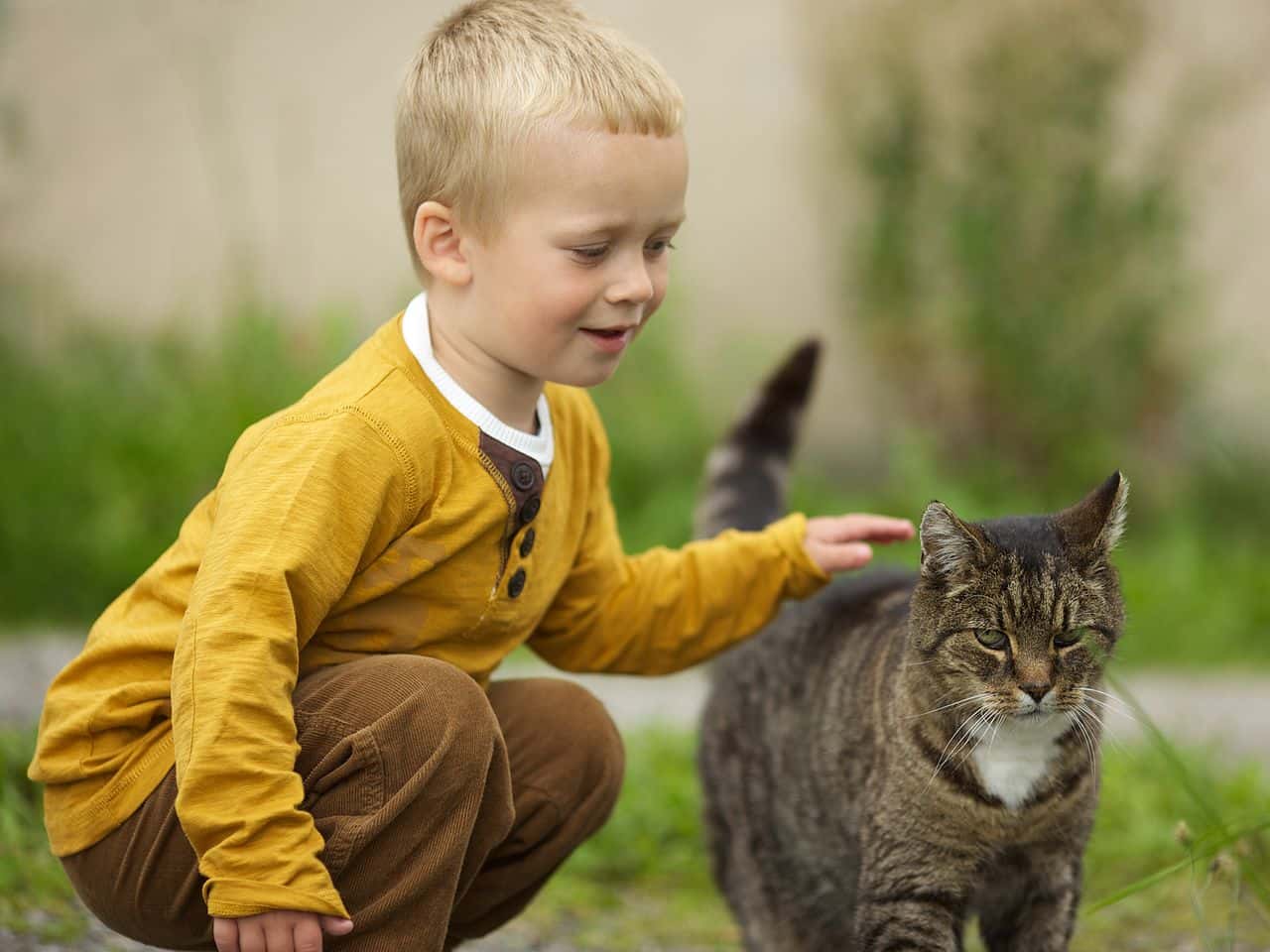 1280px-Boy_with_a_cat