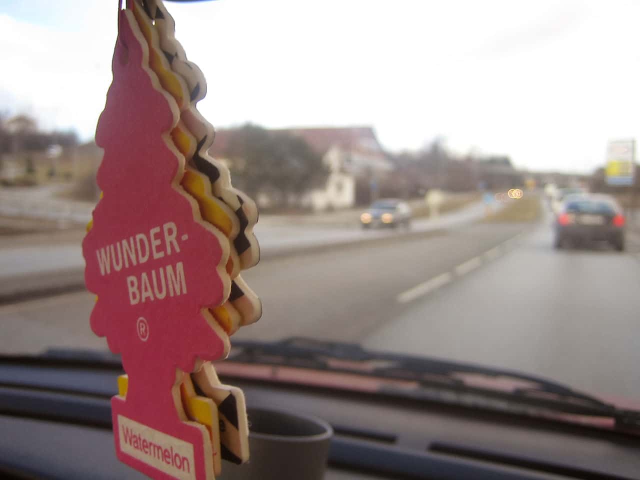 1280px-Wunderbaum