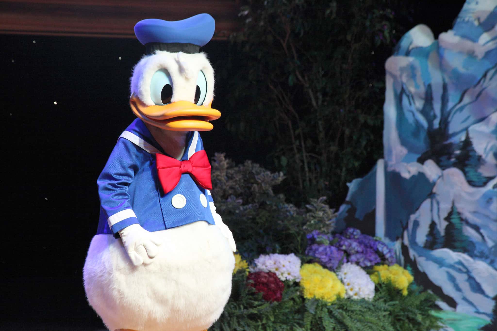 13990695885_f5fbce07f3_k