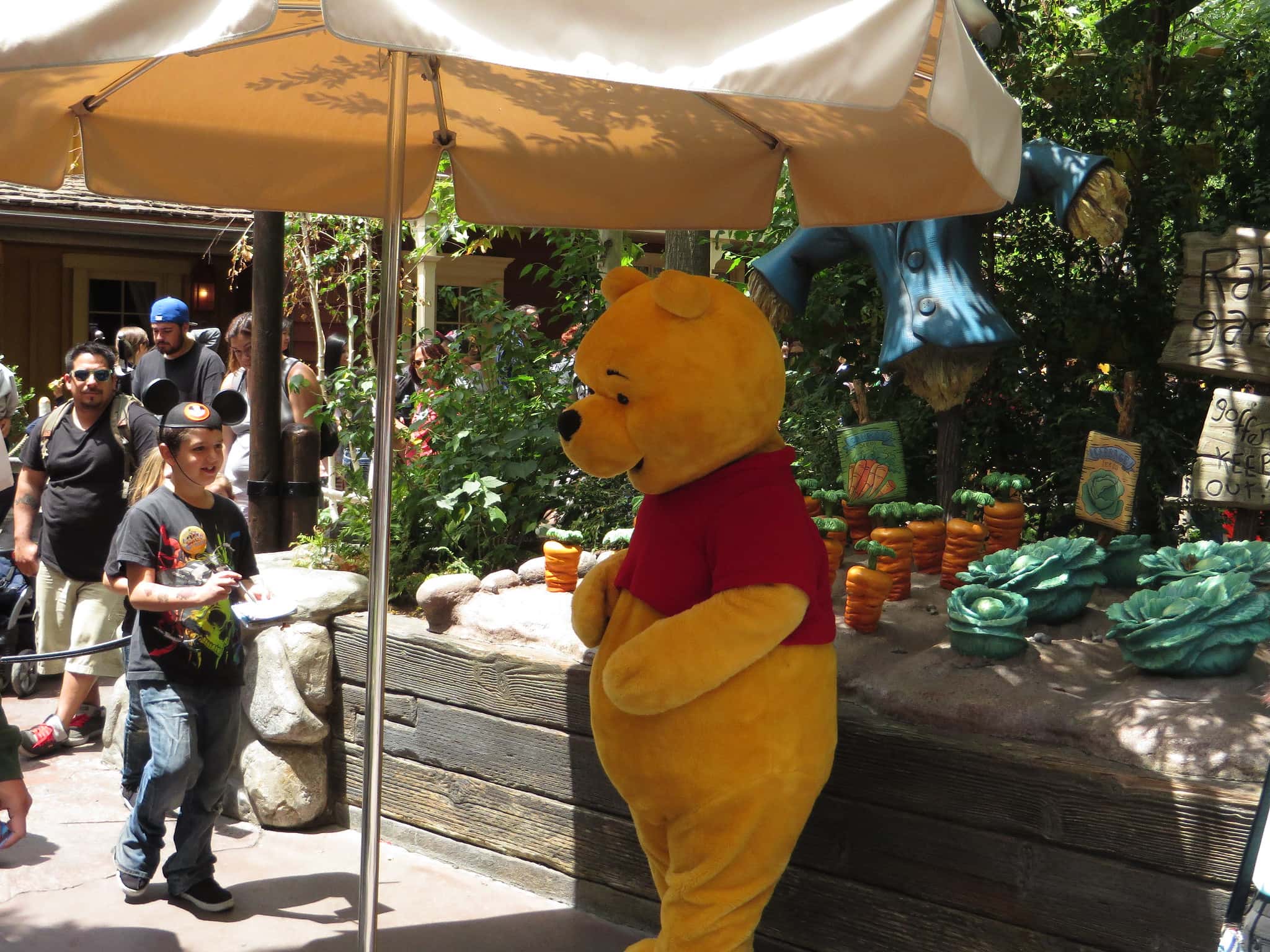 17380796475_39b2900ee3_k