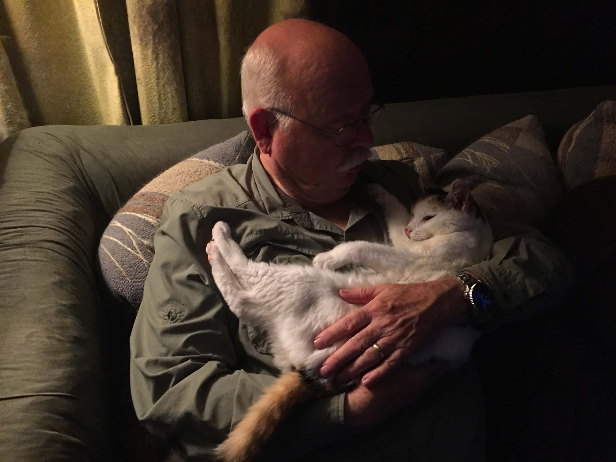 25753194554_2fde2d96d3_k