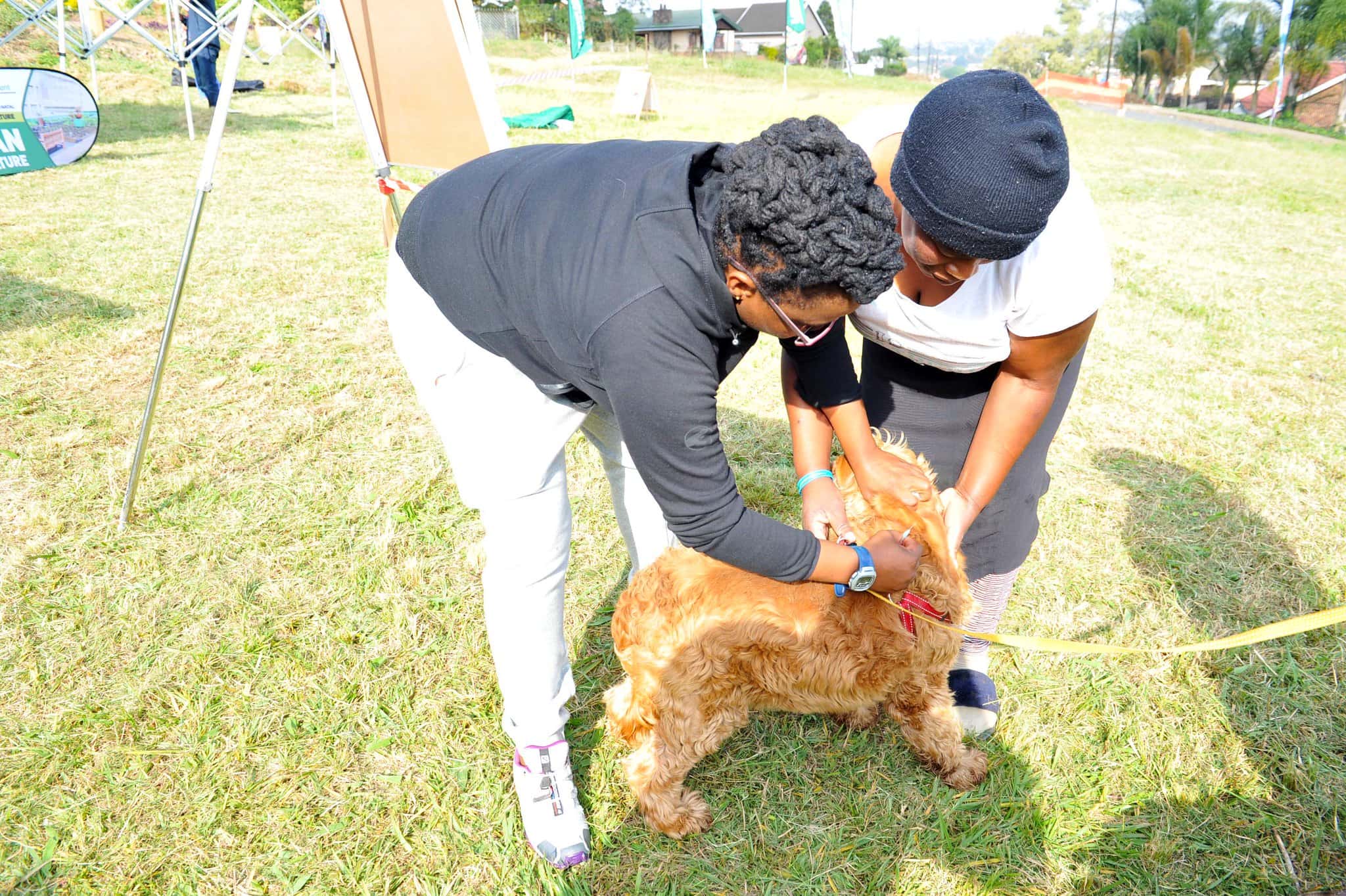 27146946707_2a1a68daec_k