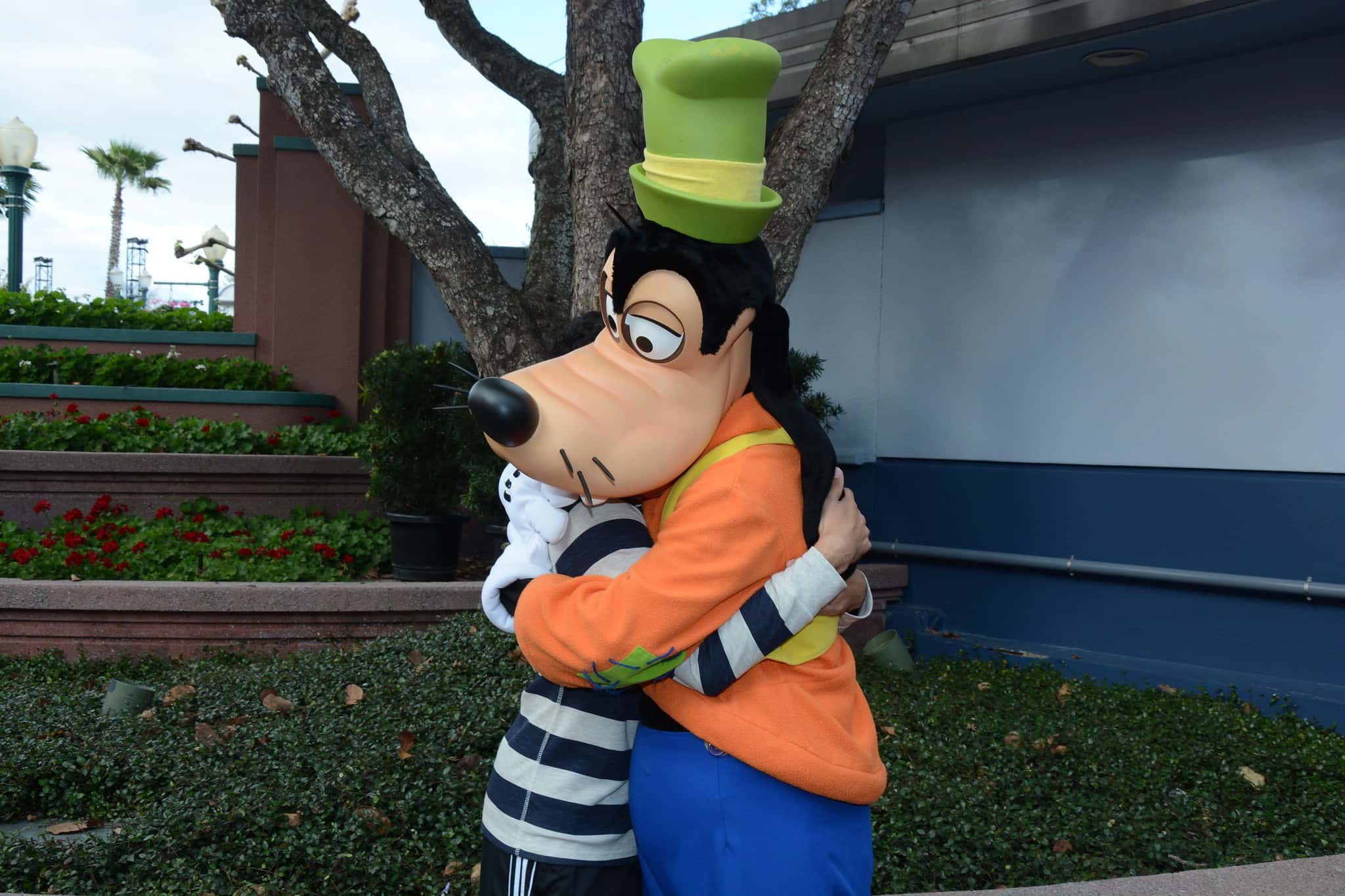 32552569415_59e92c01da_k