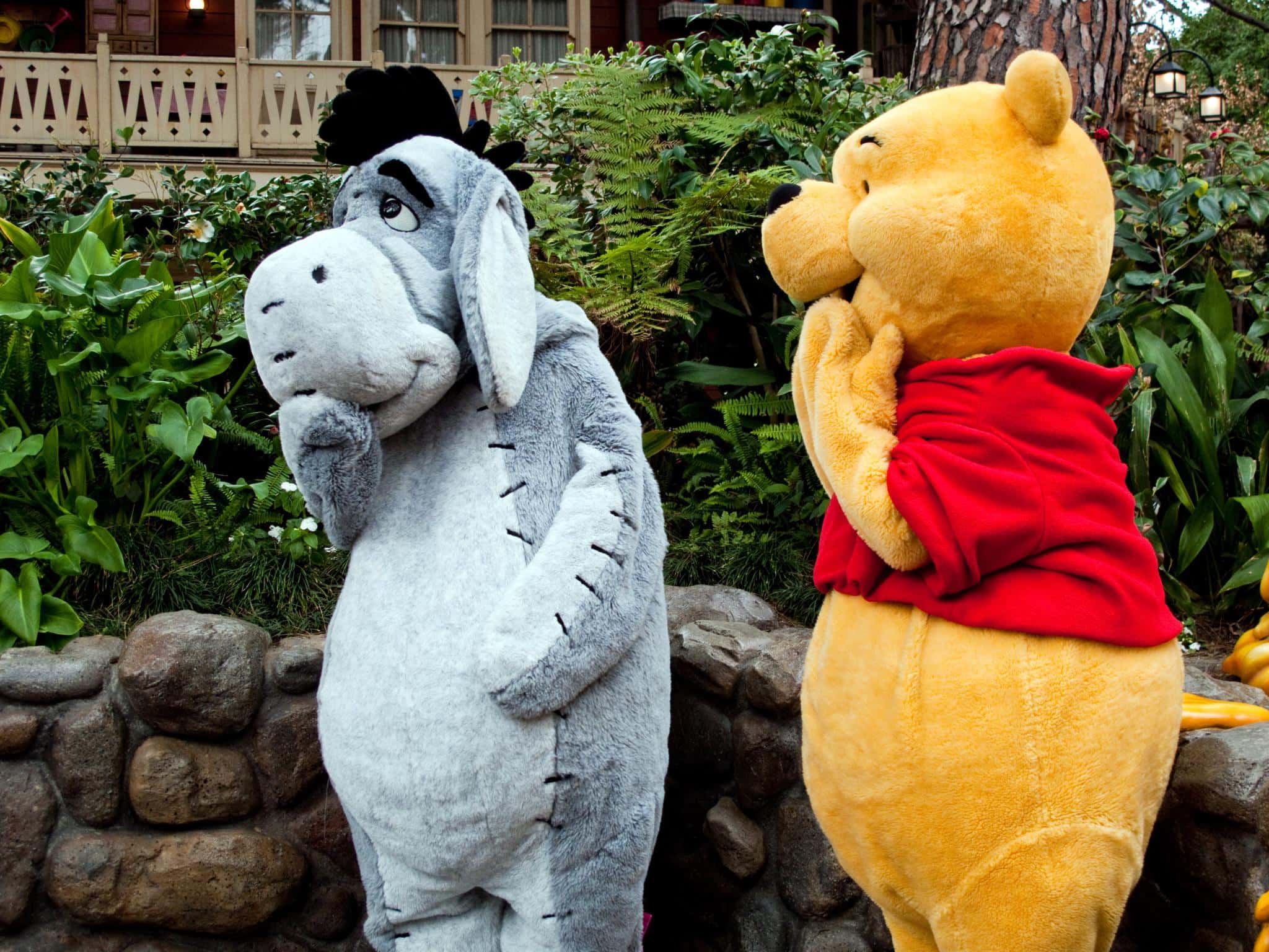 3294870804_e15e0b30a9_k