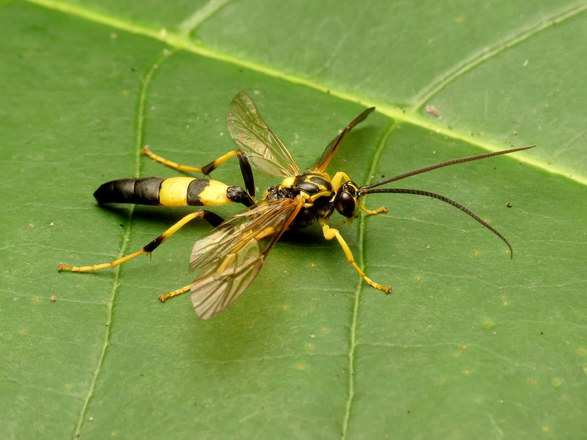 34947825344_b11a462ab0_k