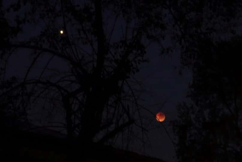 42775560355_727aca420a_o(1)