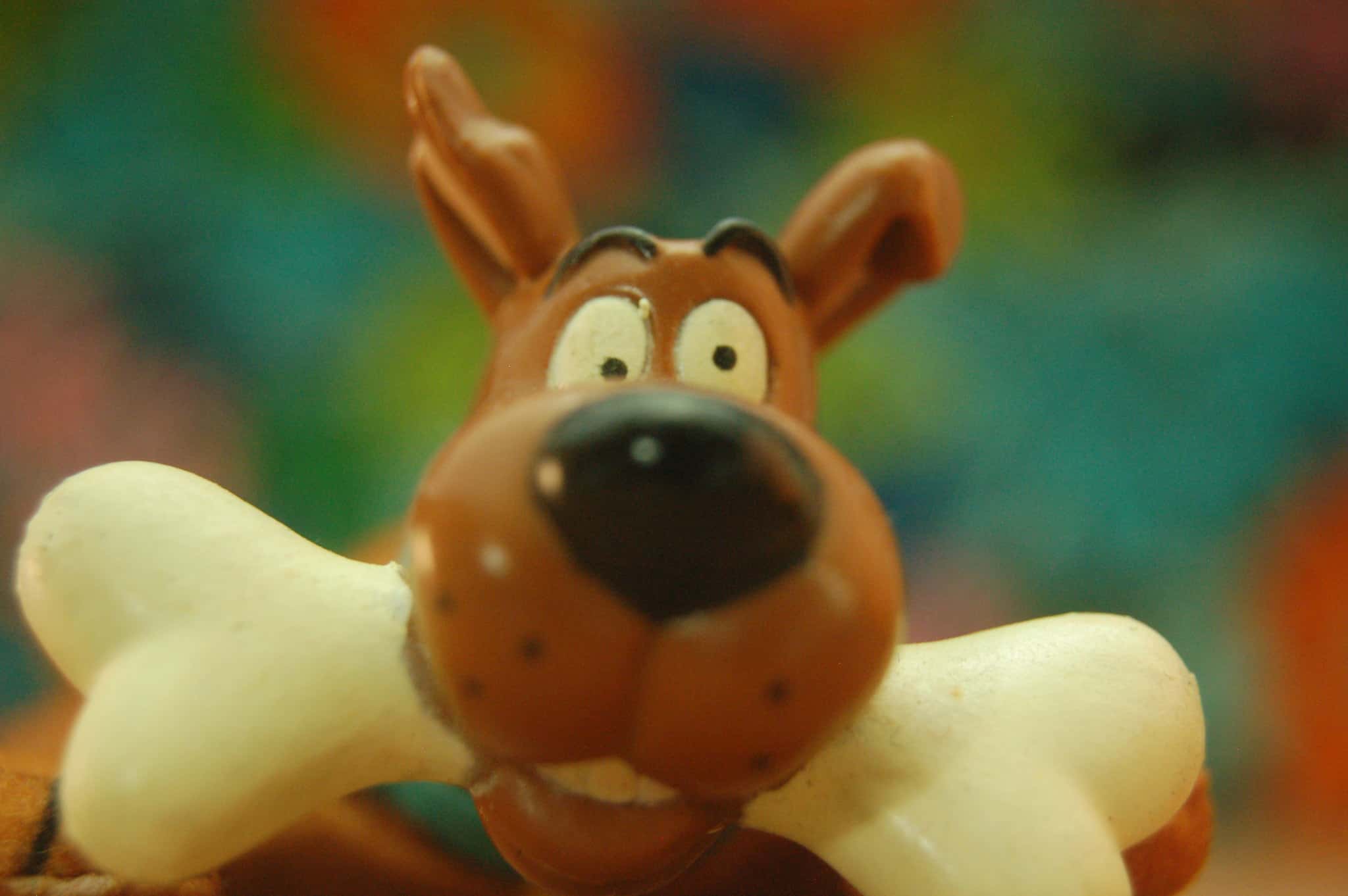 4646807840_1852eb009b_k