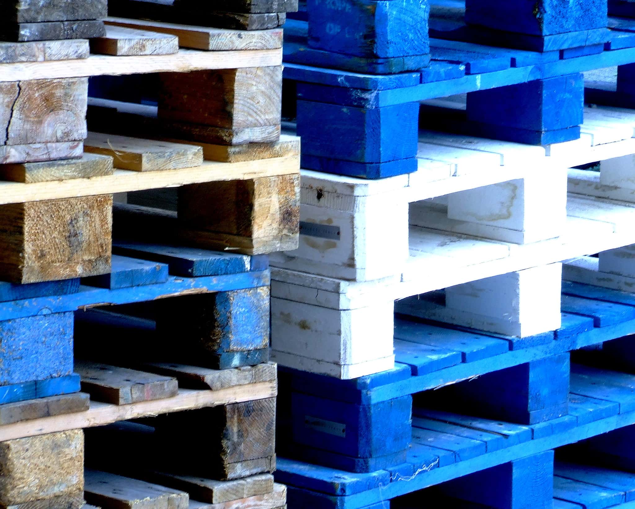 540889124_3026857e6c_k