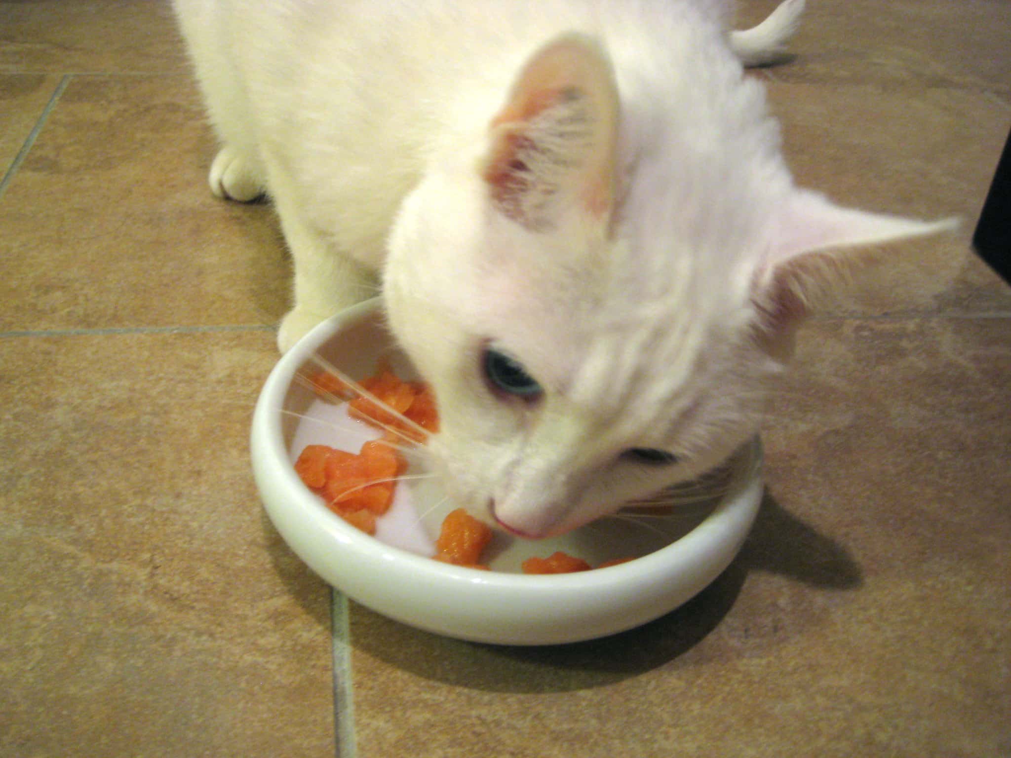 6864744065_73d66bbe44_k