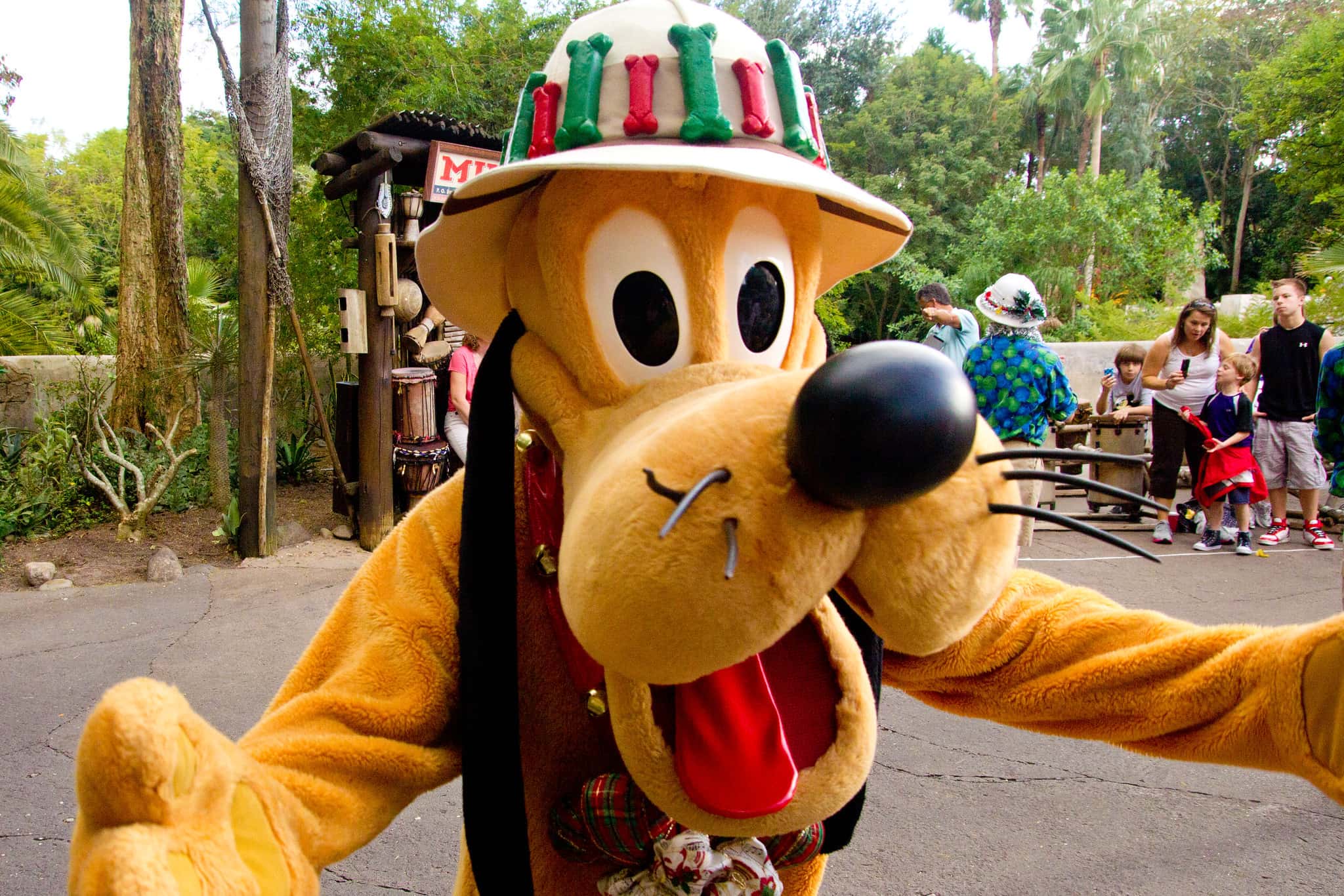 Pluto - Disney's Animal Kingdom