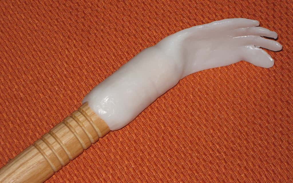 Back_Scratcher_2