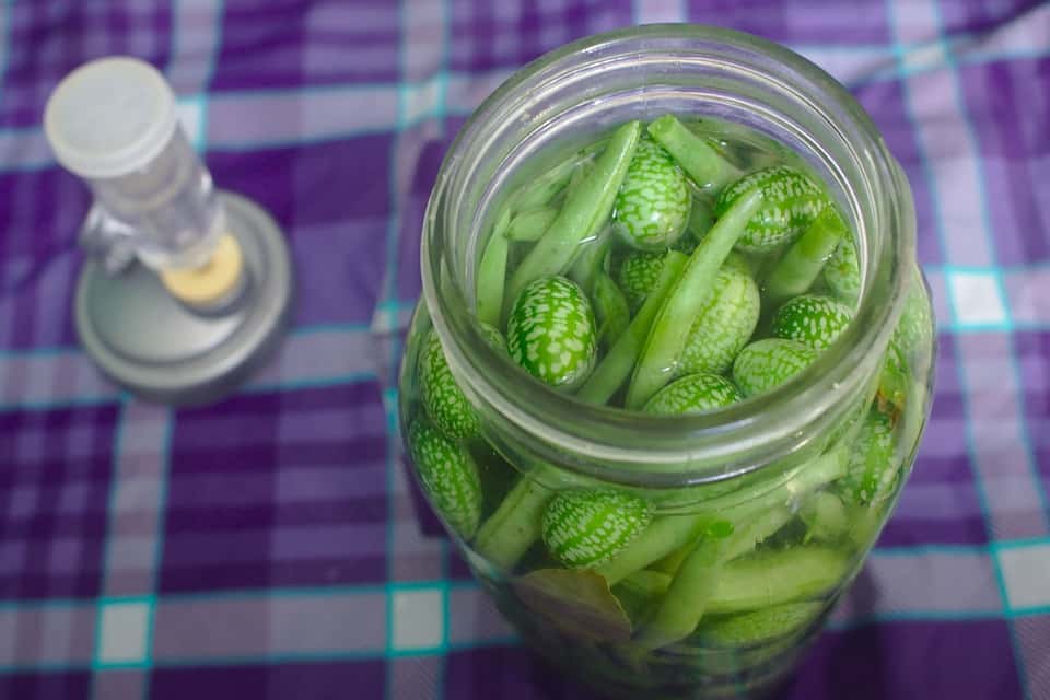 Brine Lacto-fermentation Homemade Pickles Pickling