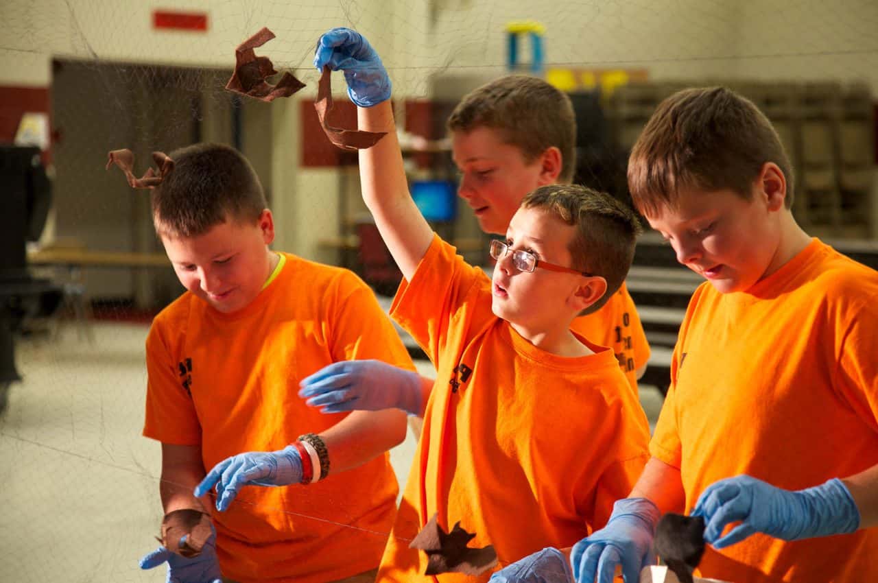 PIXNIO-54088-1280x850