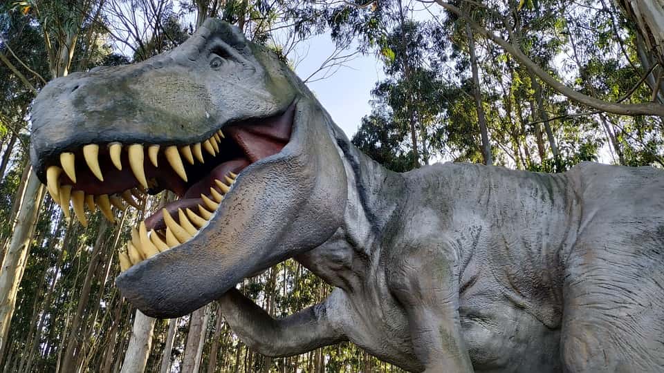 T-rex Model Dinosaur Tyrannosaurus