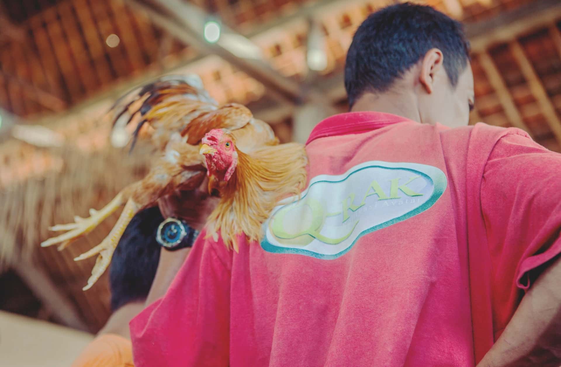 adult-bali-balinese-man-1059721