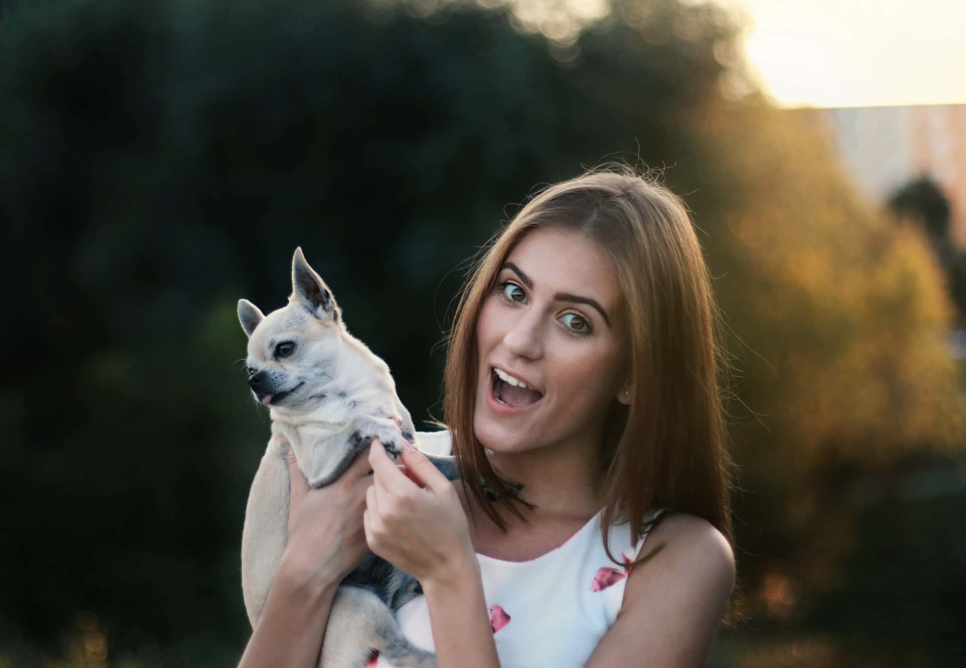 animal-lover-blurred-background-dog-1677533