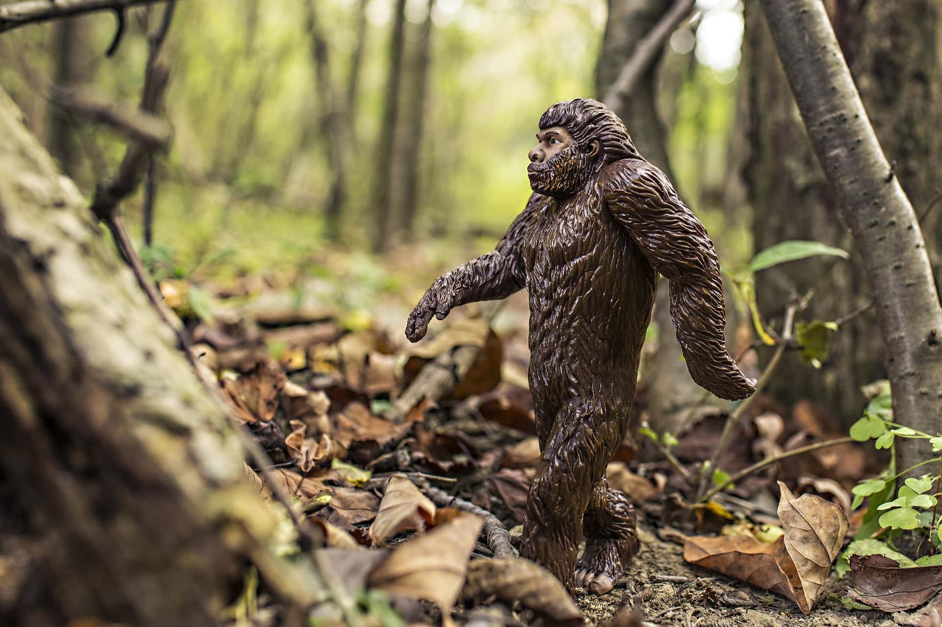 bigfoot-542546_1920 (1)