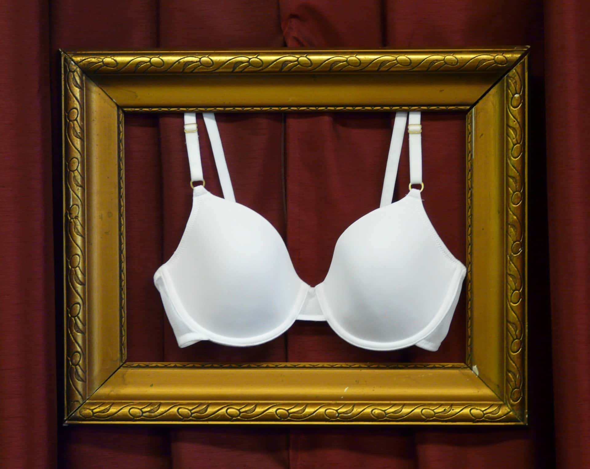 bra-art