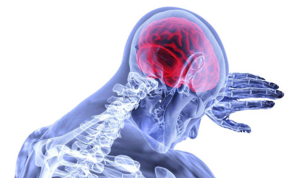 brain-3168269_960_720