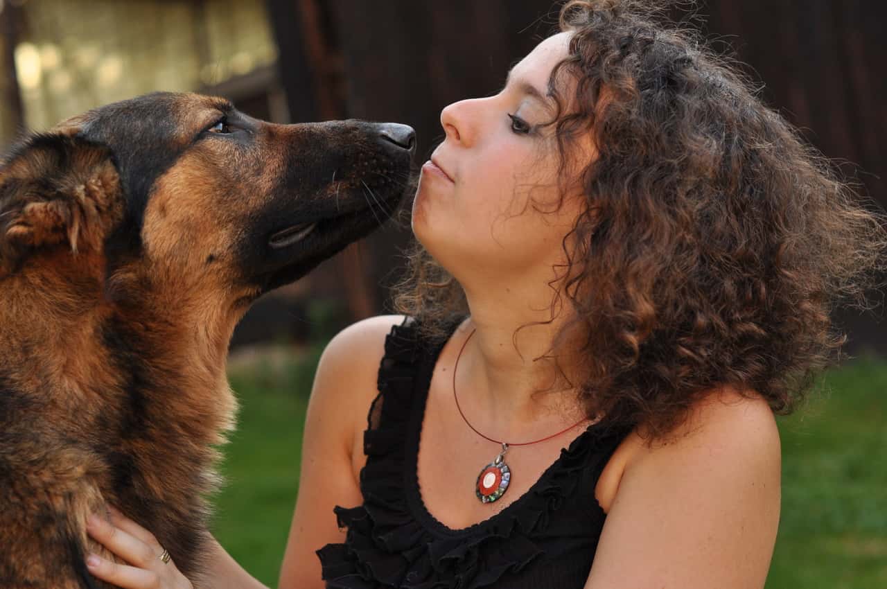 curly-girl-dog-dog-breed-dog-like-mammal-snout-1422627-pxhere.com