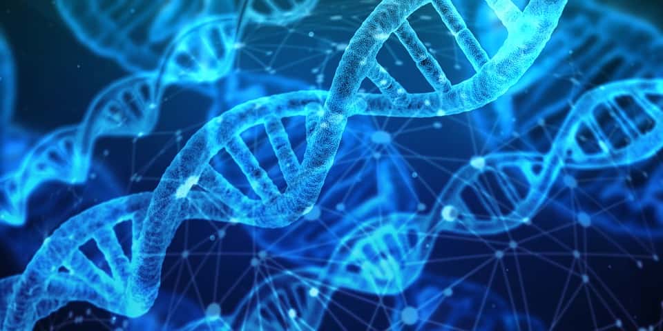 dna-3539309_960_720